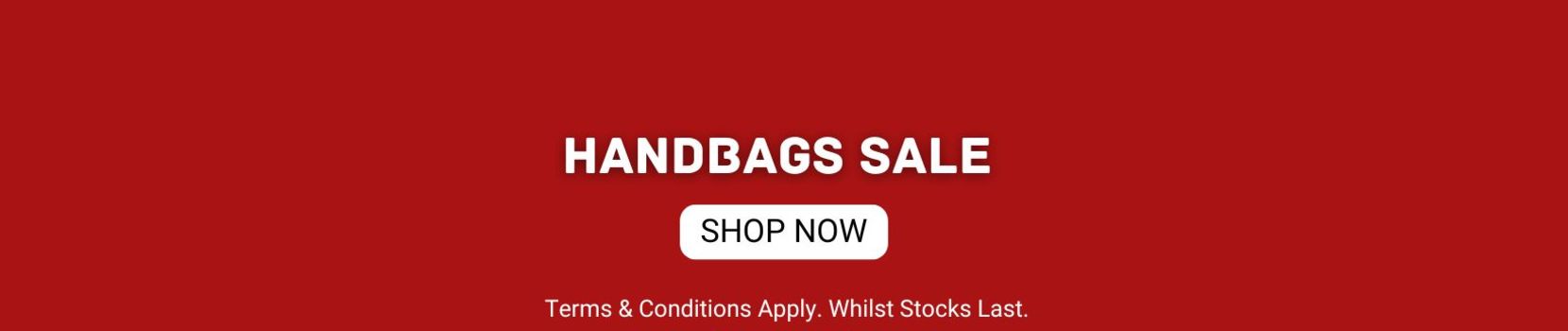 Handbag Day Banner Category